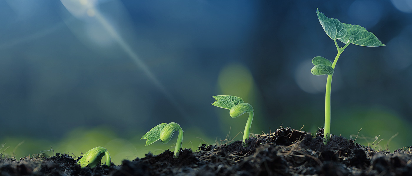 PGӡйٷվ-PGƽ̨Żվ